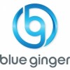 Blue Ginger