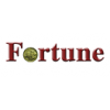 Addis Fortune