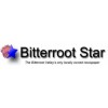 Bitterroot Star