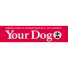 Your Dog