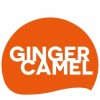 Ginger Camel Media
