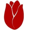 PUK Media