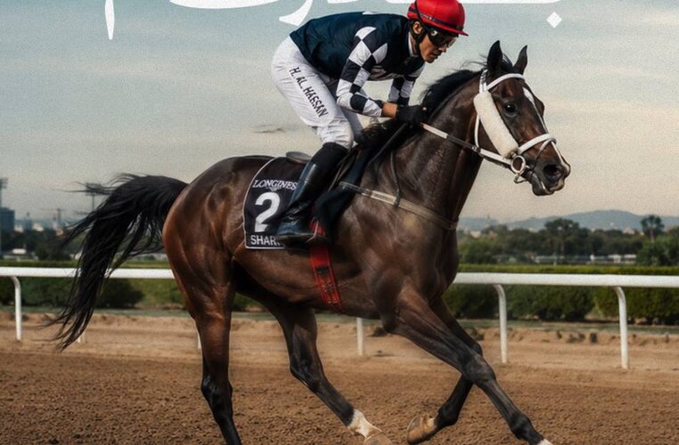 Emirates Racing Authority records 31% surge in horse registrations