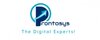 Prontosys IT Services