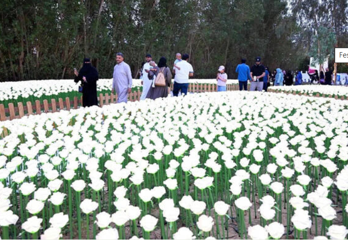 Yanbu Flower Festival attracts tourists