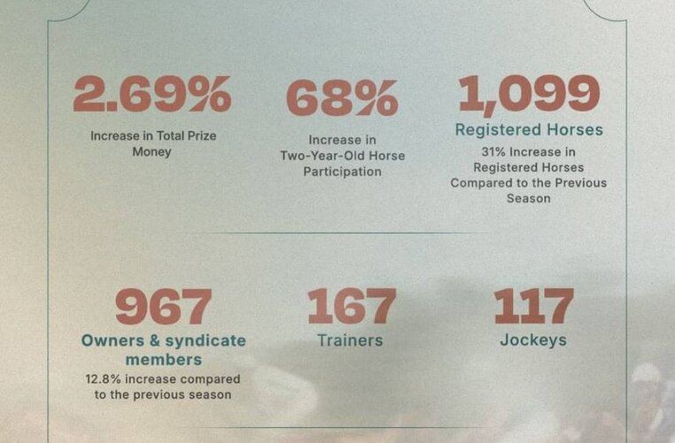 Emirates Racing Authority records 31% surge in horse registrations