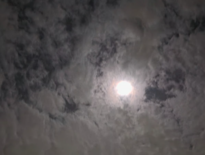 Samsung S26+ review: Can it finally capture the perfect moon shot? Display, AI and camera performance tested