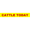 Cattle Today
