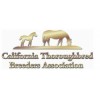 California Thoroughbred