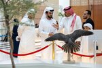 The first ADIHEX Falcon Auction launches at ADNEC Centre Abu Dhabi with strong interest from falconry enthusiasts