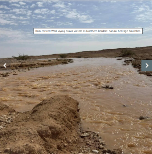 Rain-revived Wadi Ayouj draws visitors as Northern Borders’ natural heritage flourishes