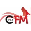 CFM 106.3