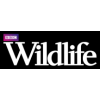 BBC Wildlife