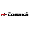 Sobaka.ru