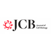 Journal of Cell Biology