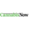 Cannabis Now
