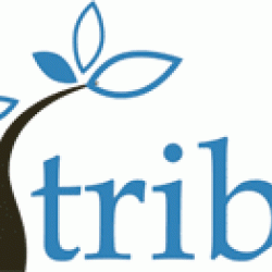 eTribes Connect GmbH