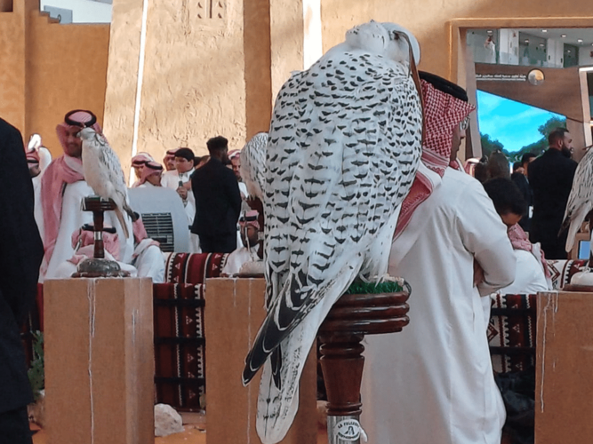 Here’s why you need to visit the International Saudi Falcons and Hunting Exhibition in Riyadh