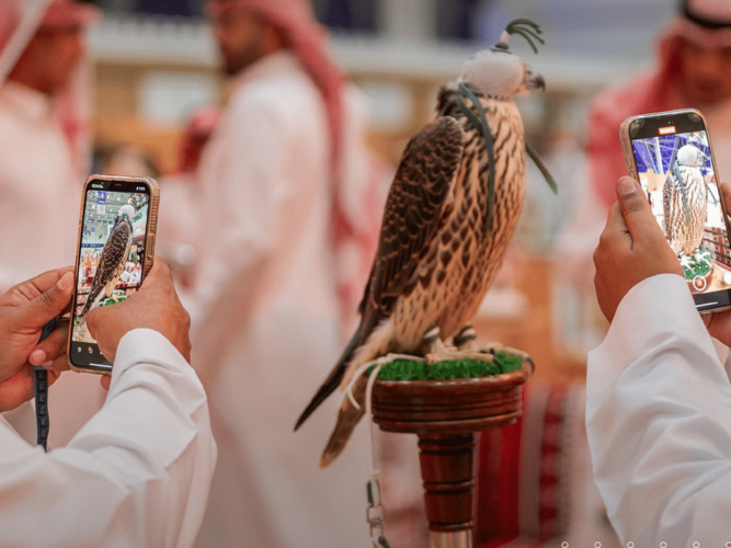 Here’s why you need to visit the International Saudi Falcons and Hunting Exhibition in Riyadh