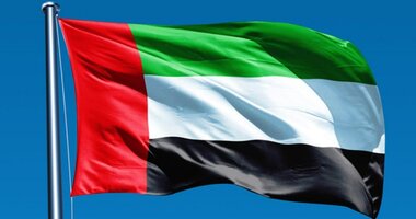 UAE Flag Day 2025 Date: Is November 3 a public holiday? History, significance & other details explained