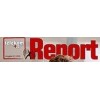 telekom + it Report