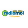 Radio Mol 105.2FM